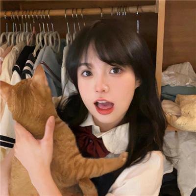 优雅的相遇